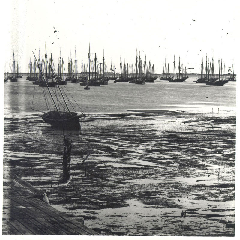 Mackerel Fleet in Wellfleet