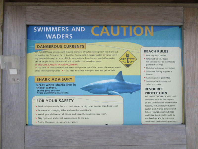 Shark Informational Poster at beach kiosk